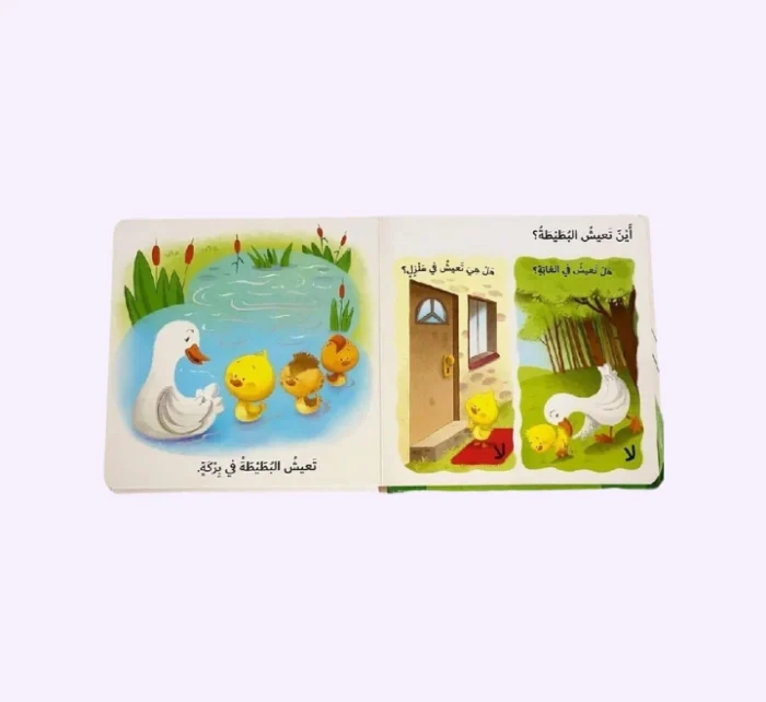 ⁦التعلم بحاسة اللمس - ما الذي تحبه البطة الصغيرة؟⁩ - الصورة ⁦3⁩