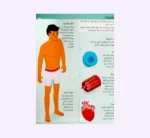 ⁦أقلب الطيات - عالم جسم الإنسان⁩ - الصورة ⁦2⁩