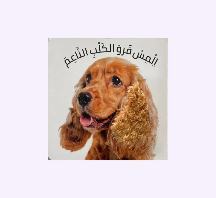 ⁦الرؤية اللمس الإحساس - الحيوانات⁩ - الصورة ⁦2⁩