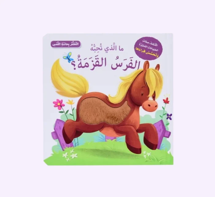 ⁦ما الذي تحبه الفرس القزمة؟⁩ - الصورة ⁦1⁩