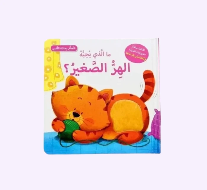 ⁦ما الذي تحبه الهرة الصغيرة؟⁩ - الصورة ⁦1⁩