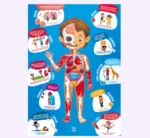 ⁦بازل جسم الإنسان من HAPE⁩ - الصورة ⁦2⁩