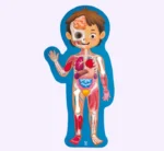 ⁦بازل جسم الإنسان من HAPE⁩ - الصورة ⁦3⁩