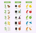 ⁦المس والعب! ألوان، أشكال، وأرقام! من HEADU⁩ - الصورة ⁦2⁩